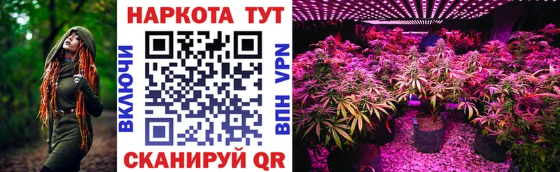 Виды наркотиков купить Гусь-Хрустальный Alpha-PVP Меф мяу мяу Амфетамин COCAIN